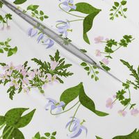 Wildflower Garden/Pastel Spring Flowers/Cottagecore Floral - White Large
