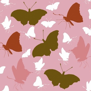 Pretty pink butterflies