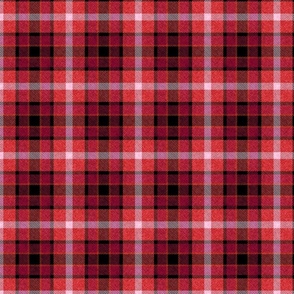 Apple Plaid Straight Set in Red