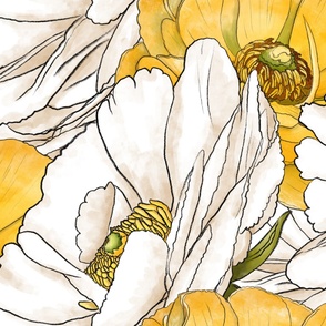 Ranunculas - Yellow and White (5700)