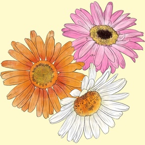 Gerberas - Orange,  Pink and White on Pale Yellow (6000)