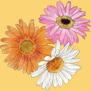 Gerberas - Orange, Pink and White on Buttercup (6000)