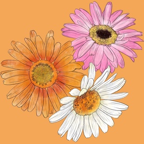 Gerberas - Orange, Pink and White on Light Orange (6000)