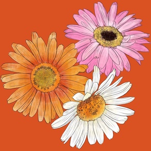 Gerberas - Orange, Pink and White on Dark Orange (6000)