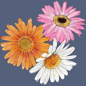 Gerberas - Orange, Pink and White on Dark Dusty Denim (6000)