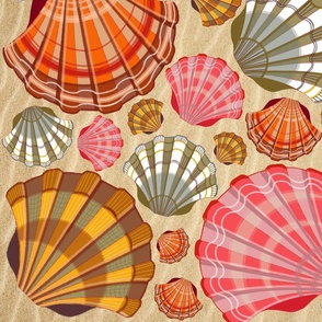 Colorful scallop shells