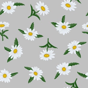 White Shasta Daisies, Lg Scattered Floral Pattern, White Flowers, Yellow Centers, Dark Green Leaves, Light Gray Background