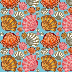 Colorful scallop shells