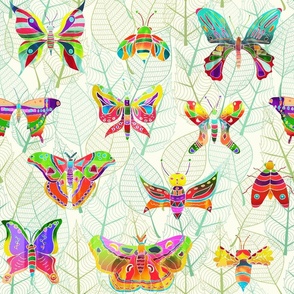 Colorful Moths of the World