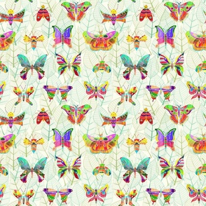 Colorful Moths of the World - Small