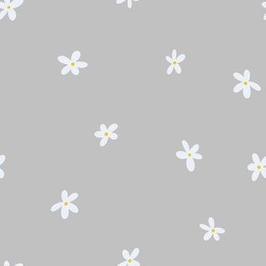 White Daisies, Med Loose Tossed Floral Dot Pattern, White Flowers, Yellow Centers, Light Gray  Background
