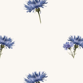 Blue Cornflowers XL