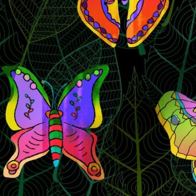 Colorful Moths of the World Dark Background