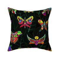 Colorful Moths of the World Dark Background