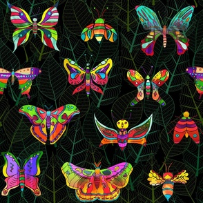 Colorful Moths of the World Dark Background