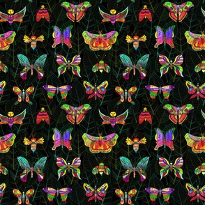 Colorful Moths of the World Dark Background - Small