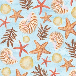 Under the Sea Nautilus, Shells, and Starfish (large)