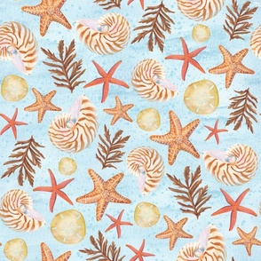 Under the Sea Nautilus, Shells, and Starfish (medium)