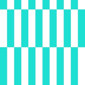 long vertical tiles small_ aqua and white
