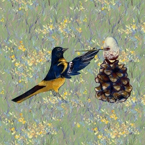 Baltimore Oriole Painting Egg For Pillow