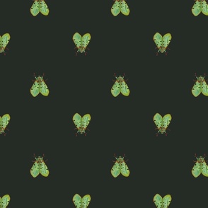 Green bugs (dark green)