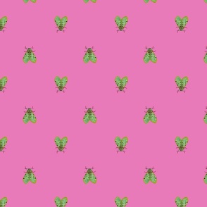 Green bugs (pink)