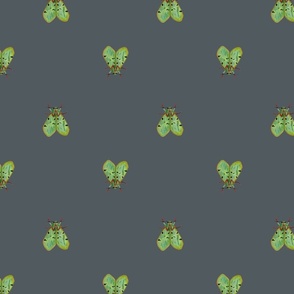 Green bugs (grey)