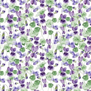 Small  A Fragant Watercolor Violets Field, Violet Fields Wallpaper