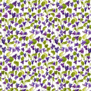 Small  A Fragant Watercolor Violets Field, Violet Fields Wallpaper 1