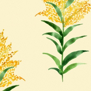14x14-in Golden Wayside – Goldenrod watercolor floral