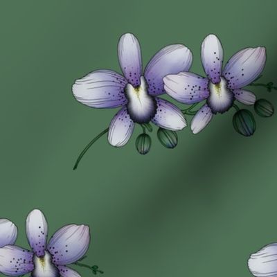 Purple Orchids on Green