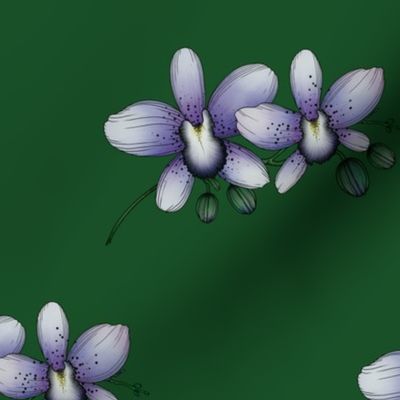 Purple Orchids on Green