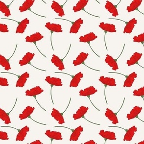 Poppies tossed red simple on a chalk white backdrop Small
