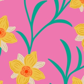 Yellow Daffodil Flower: Blooming Floral Vines on a vibrant pink background (large)