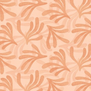 Coral Soft
