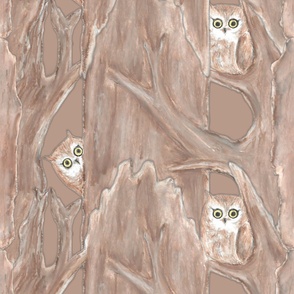 Curious Woodland Owl