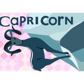 Zodiac Pop Art Match Set 10 CAPRICORN