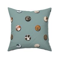 Cat Nap Polka Dots on Grayed Turquoise