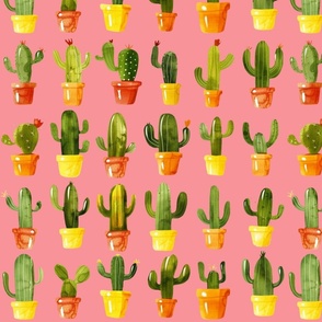 Cacti in Pots