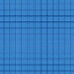 Blue on blue plaid (Fruity faces collection)