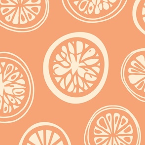 Citrus Orange Slices on a Orange Background (large)