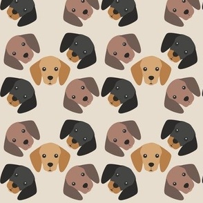 dachshunds heads on beige