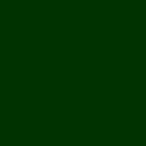 color block dark green