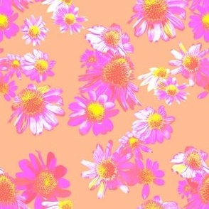 [Small] Daisies Explosion Pink Peach