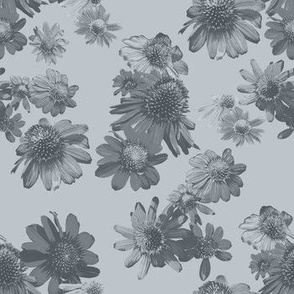 [Small] Daisies Explosion Monochrome Charcoal Silver