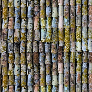 Roof Tiles of Assisi 1b