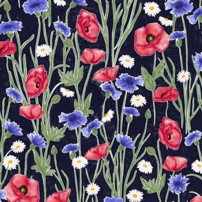 ( L) Wildflower meadow poppies and cornflowers