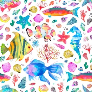 Fishes and shells Colorful ocean sea Medium