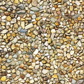 stones in concrete light 24x18