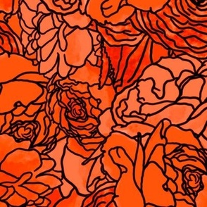 Orange Roses